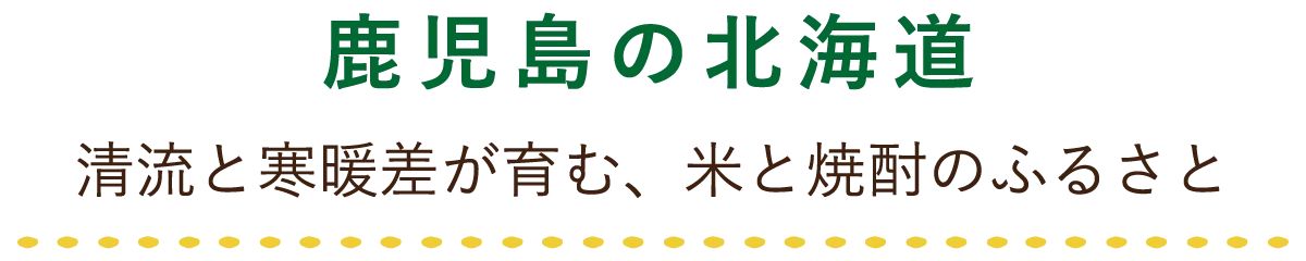 鹿児島の北海道 清流と寒暖差が育む、米と焼酎のふるさと