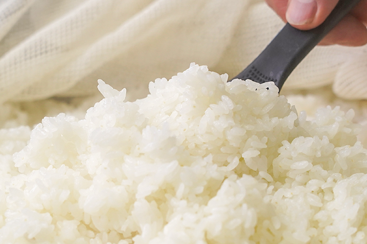 伊佐ならではの美味しい米