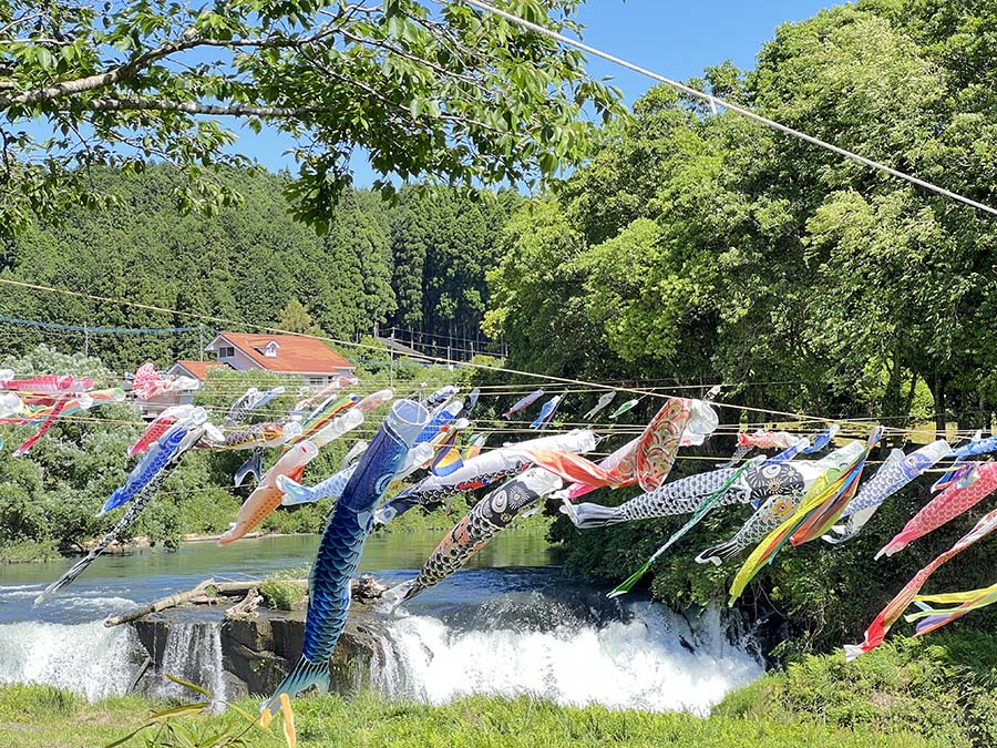 湯野尾滝こいのぼり