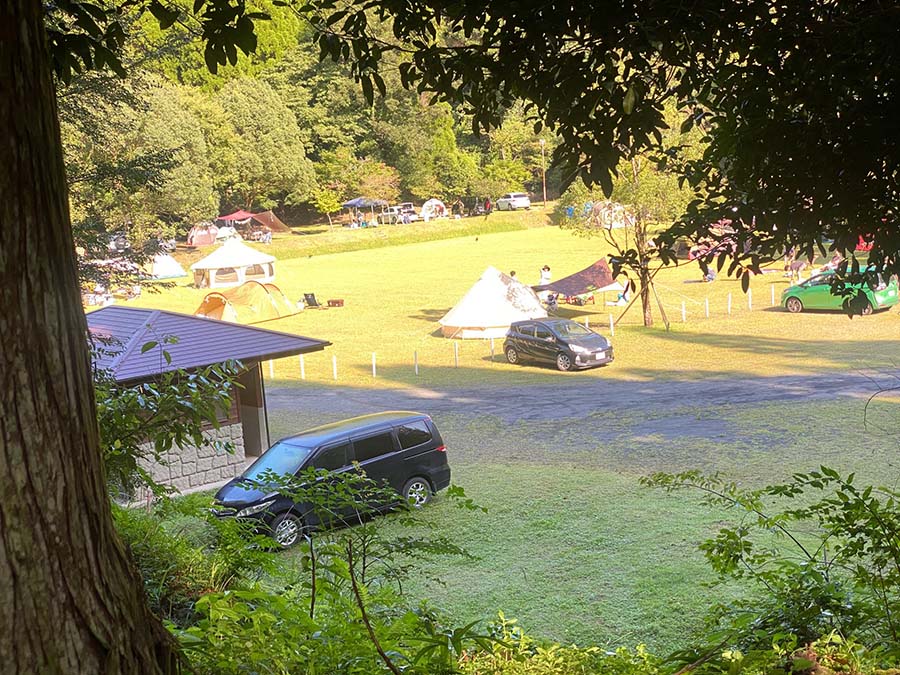 自然豊かな公園にあるキャンプ場