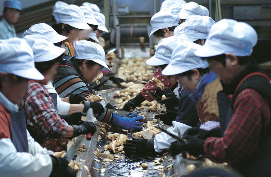 大口酒造 第二蒸溜所 工場見学