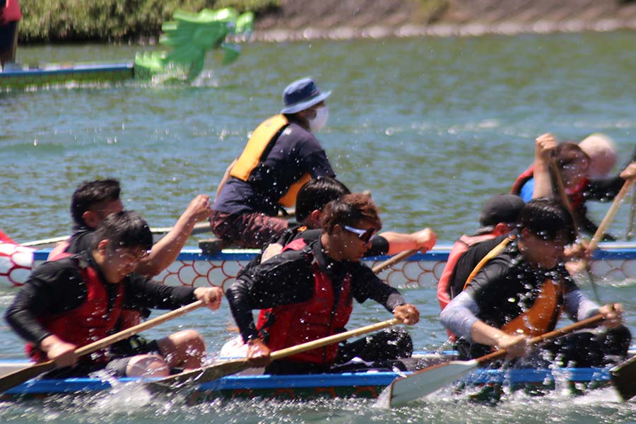 いさドラゴンカップ2026